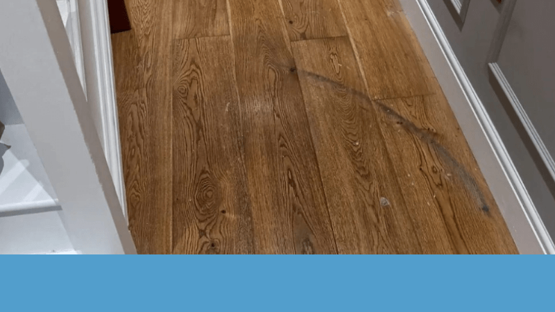 Shellac vs polyurethane for floors: The perfect floor finish