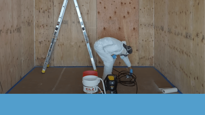 How to Finish Plywood Walls with Paint: A Step-by-Step Guide