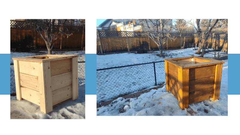 staining pressure treated wood