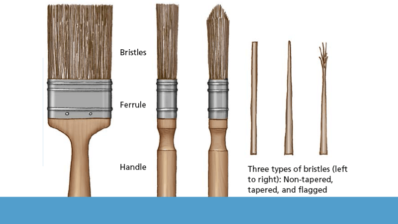 Types of Brushes bristle 