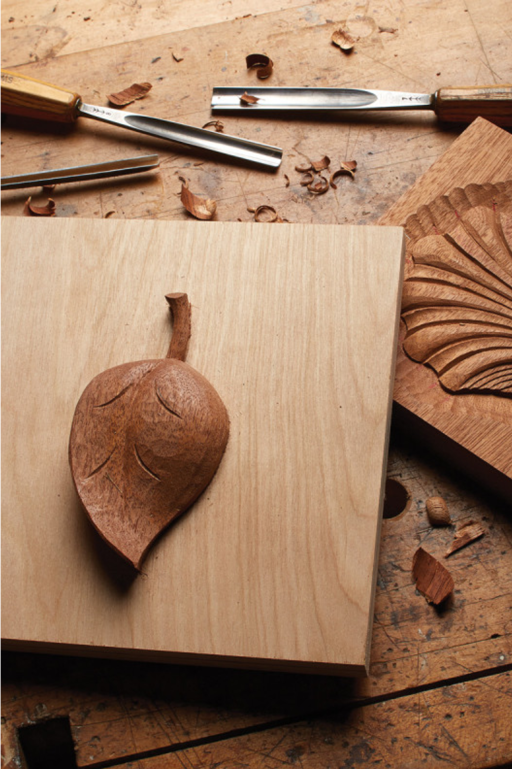 15 Easy Ways to Soften Wood for Carving