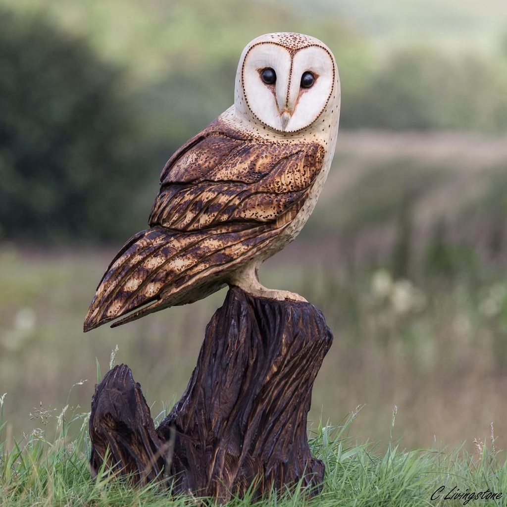 how to choose a woodcarving project